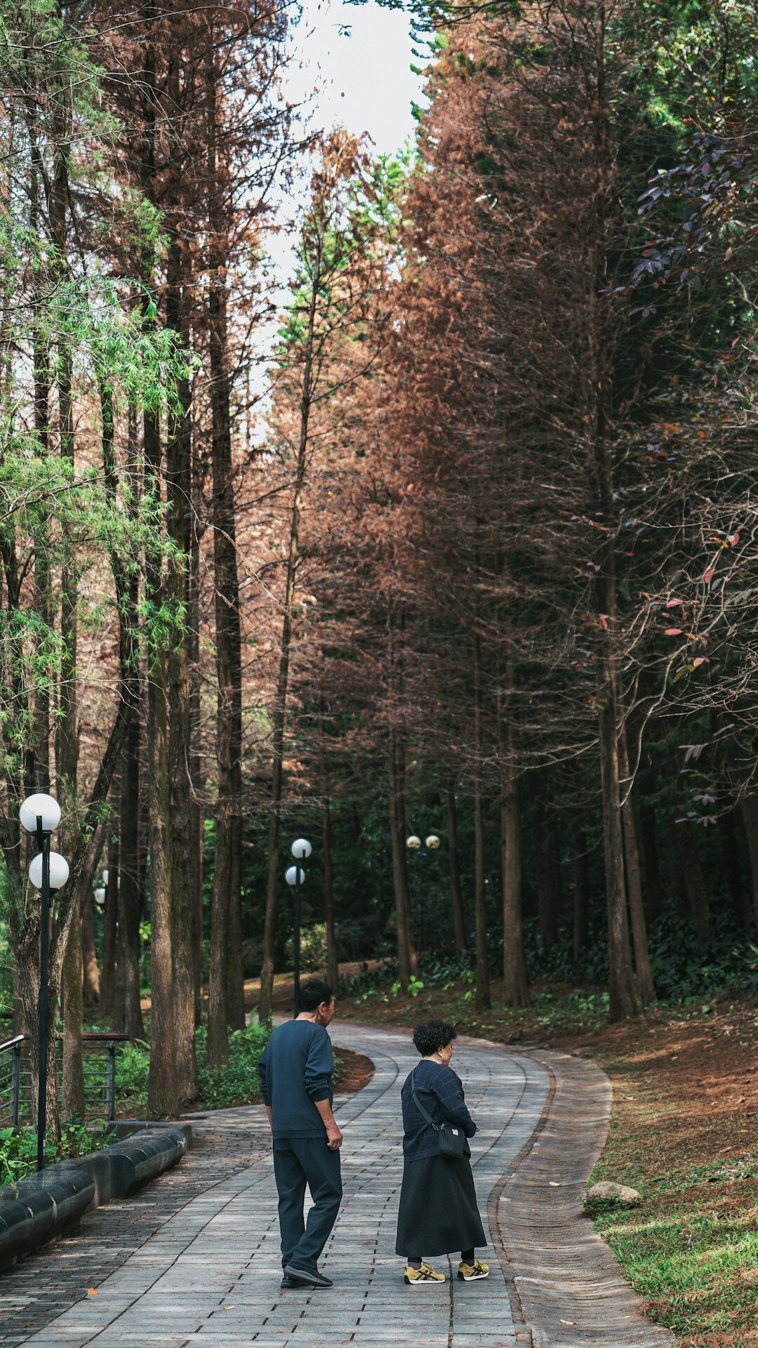 senior couple walking in park