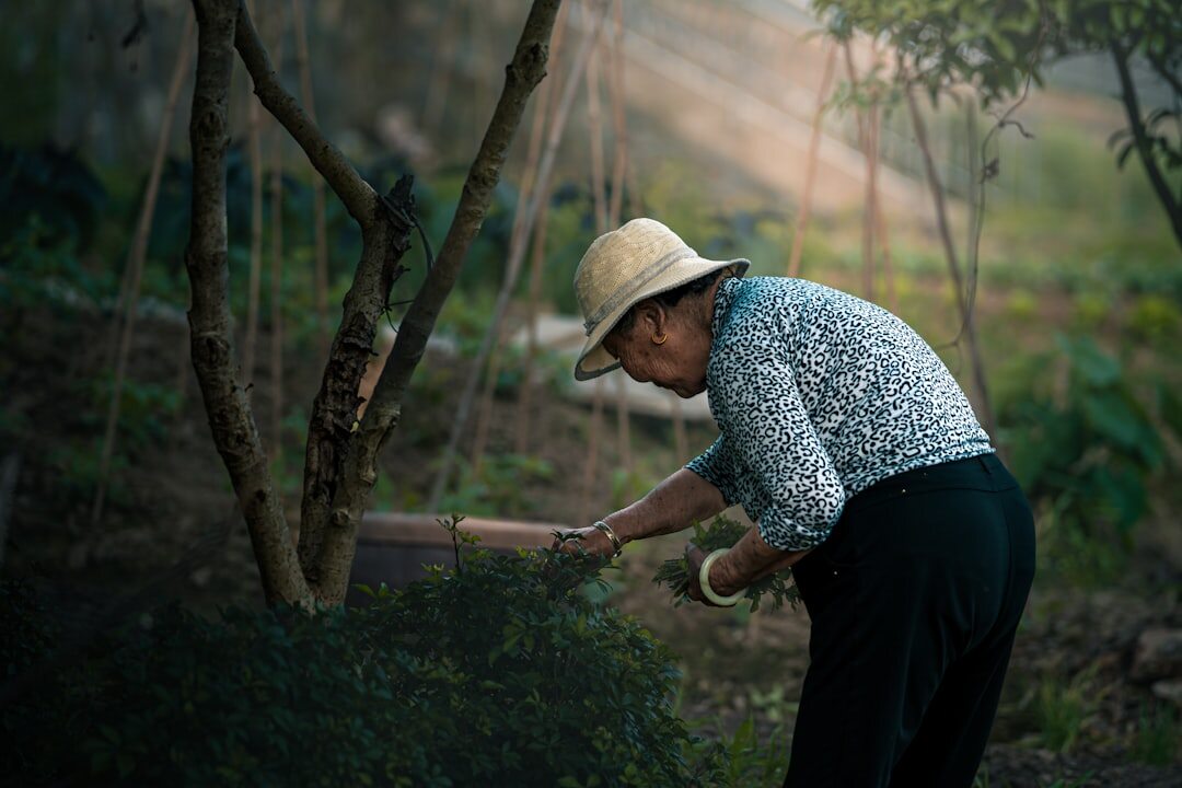 senior woman gardening