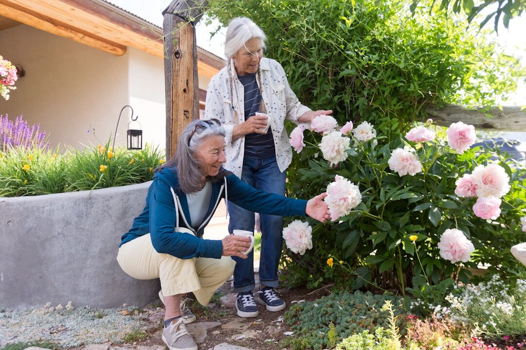Elderly couple planting flowers together in a community garden bed