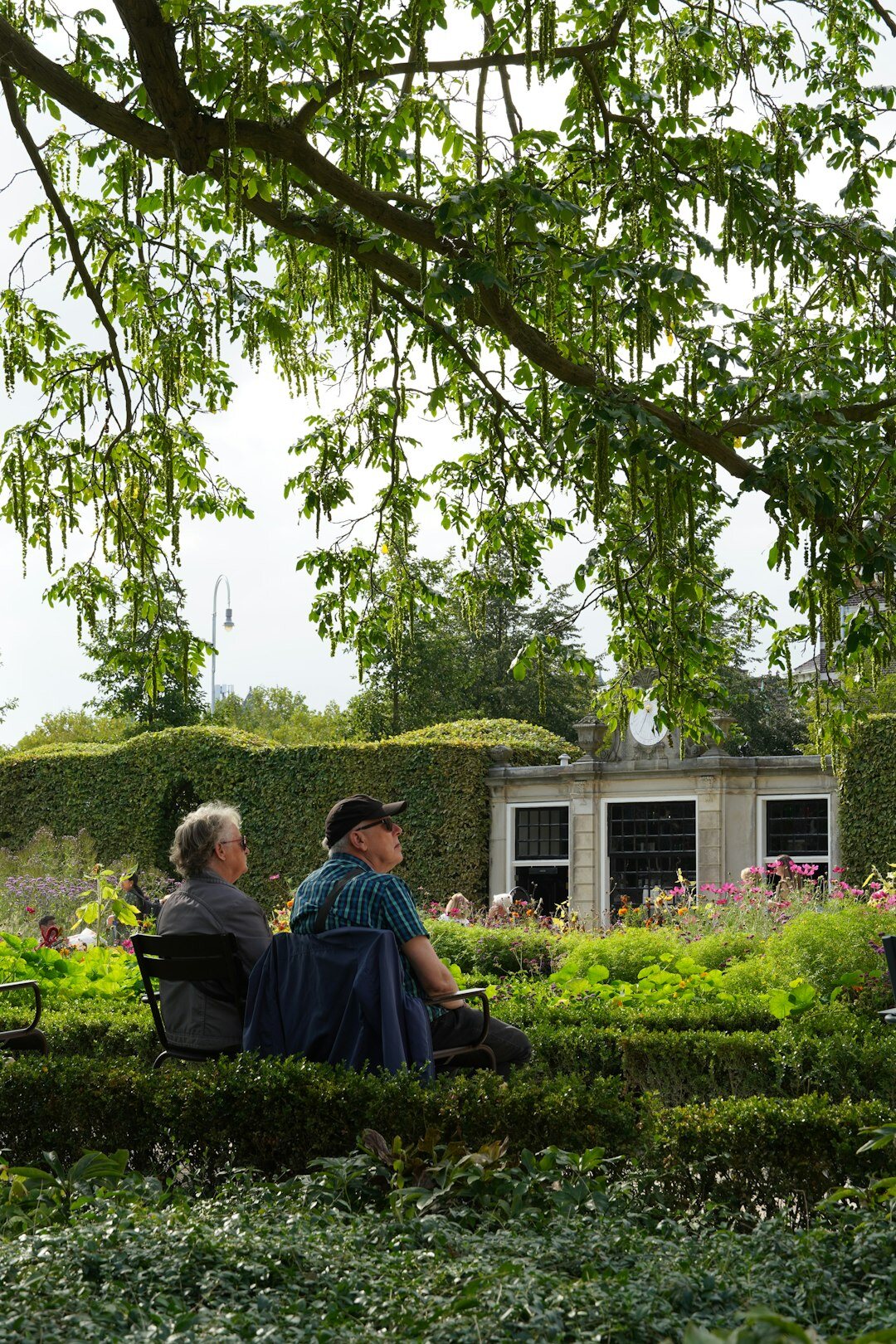 senior couple smiling in garden